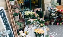 花店吃瓜视频爆料大全集,揭秘娱乐圈幕后风云