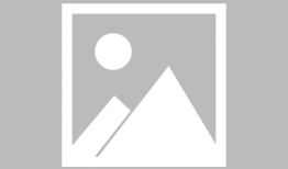 吃瓜娱乐圈免费阅读小说,吃瓜群众眼中的明星风云